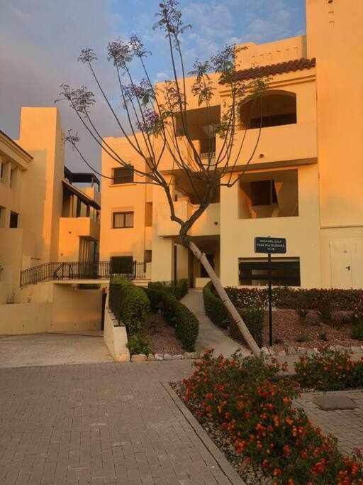Casa Palmera San Javier Buitenkant foto